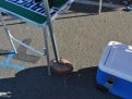 EZ Fan Foot Chargers Tailgate