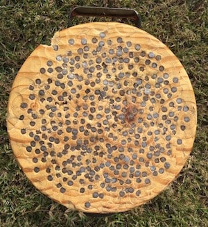 The_Stump_Game_Half_Full_Of_Nails